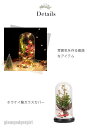 新生活 クリスマスシリーズ クリスマスツリー 卓上 22cm ミニツリー クリスマス飾り LEDイルミネーション オーナメント おしゃれ キラキラ 雰囲気満々 暖かい 飾り 部屋 商店 おもちゃ プレゼント ギフト