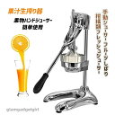 新生活 果汁生搾り器 家庭用 業務用 フルーツしぼり 果物ハンドジューサー 手動ジューサー 柑橘類フレッシュジューサー オレンジ・レモン・ぶどう絞り器 簡単使用