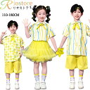 幼稚園 団体服 小学生 演出服 可愛い ステージ衣装 ふわふわ チュールスカート ストライプ 黄 シャツ 遠足 かわいい 写真撮り キッズダンス衣装 セットアップ 練習着 ファッション 女の子 男の子 子供 110-180