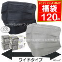 大きいサイズ マスク 福袋 2025 【送料無料 120枚】 マスク ラッキーパック 大きめ ワイド 不織布 プリーツタイプ プリーツ 19.5cm 195mm...