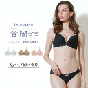 アンテシュクレ intesucre ナイス谷間 ブラジャー単品 脇高ブラ GHIカップ アンダー 65/70/75/80cm IBT362