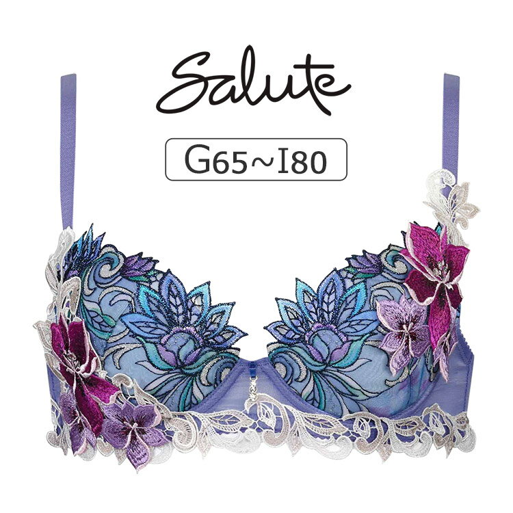 拾 롼 80G ֥饸㡼ñ P-up GHIå 65/70/75/80/85cm BTJ480