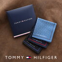 【メール便全国220円】 TOMMY HILFIGER|トミーヒルフィガー 公式ショップ 正規ライセンス商品 ハンカチ ドット柄 綿100% 【入学祝 就職祝】...