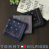 ڥ᡼220ߡ TOMMY HILFIGERåȥߡҥե å 饤󥹾 100 ϥ󥫥 եå ؽ ˡ ȥߡ ֥ ̵åԥ   ץ쥼 ̵åԥ £ ե 02582258