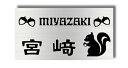 送料無料 ステンレス表札 ヘアラインステンレス エッチング サンドブラスト 表札 長方形サイズ 高評価店舗 戸建て 二世帯表札 マンション表札 ハイツ表札 かわいい表札 簡単取付 オーダーメイド 貼付けタイプ 人気デザイン マグネット りす リス しまりす ドングリ 団栗