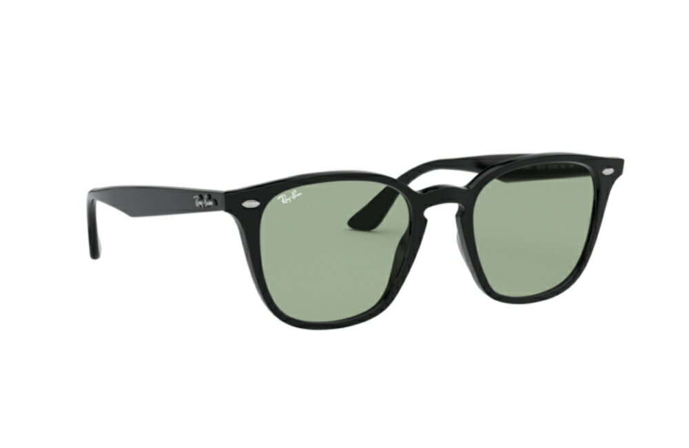 Ray-Ban レイバン RAYBAN れいばん サングラス RB4258F 601/2 52サイズ ウェリトン アジアフィット ICONS アイコン メンズ レディース 601/2 おしゃれ ドライブ 運転 アウトドア Made in Italy / イタリア製 ドライタイプメガネ拭き付属