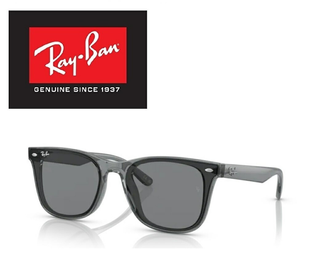 Ray-Ban 쥤Х RAYBAN 줤Ф 󥰥饹 ꥢ ǥ RB4391D 645087 65 64508...
