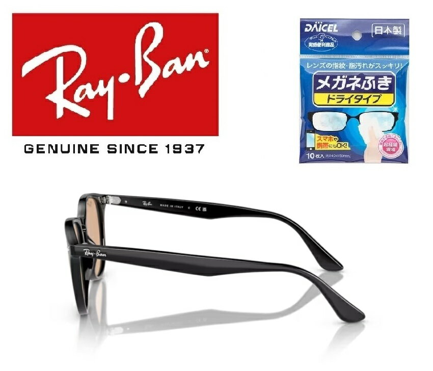 Ray-Ban レイバン RAYBAN れいばん サングラス RB4259F 601/93 53サイズ ウェリトン スクエア アジアフィット ICONS アイコン メンズ レディース 60193 おしゃれ ドライブ 運転 アウトドア Made in Italy / イタリア製 ドライタイプメガネ拭き付属