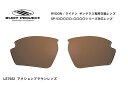 「国内正規商品」 RUDY PROJECT / ルディ プロジェクト RYDON / ライドン 専用交換レンズ 品番SP53○○○○シリーズ対応 レンズカラー アクションブラウンレンズ 可視光線透過率16% 品番LE7922(4)