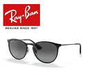Ray-Ban レイバン RAYBAN れいばん サングラス ERIKA METAL / エリカメタル RB3539 002/T3 54サイズ 002T3 ボストン 偏光レンズ フルフィット ICONS アイコン ラウンド メンズ レディース ユニセックス おしゃれ ドライブ 運転 アウトドア 「ドライタイプメガネ拭き付属」(4)