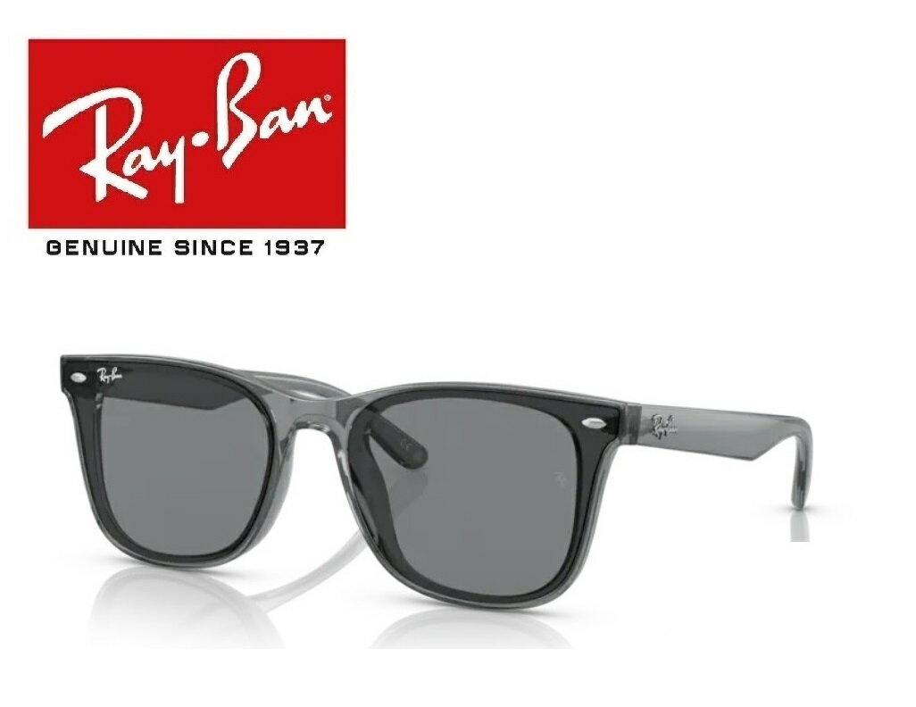 Ray-Ban 쥤Х RAYBAN 줤Ф 󥰥饹 ꥢ ǥ RB4391D 645087 65 64508...