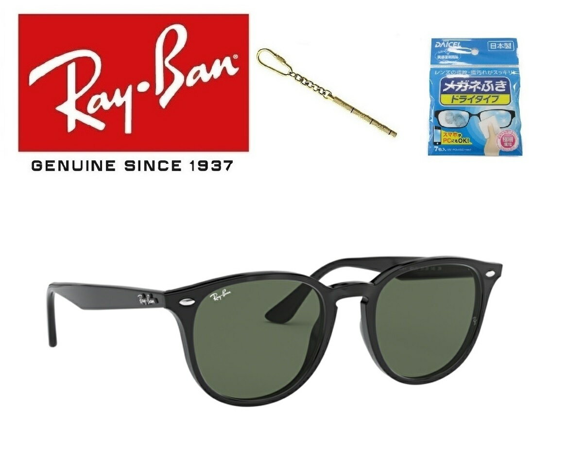 Ray-Ban レイバン れいばん サングラス RB4259F 601/71 53サイズ RayBan 60171 アジアフィット メンズ レディース ユニセックス おしゃれ ドライブ 運転 アウトドア 「国内正規商品」「保証付き」 「ミニドライバー ＋ ドライタイプメガネ拭き付属」