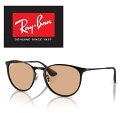 Ray-Ban RAYBAN レイバン れいばん サングラス ERIK...(4)