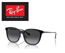 Ray-Ban サングラス レイバン れいばん RAYBAN 日本限定モデル RB4333D 601/8G 55サイズ フレームカラー ブラック / テンプルカラー ブラック レンズカラー グレー グラディエント 「連結 ドライバー ミニドラP (金色)1個」+「ドライタイプメガネ拭き」(4)