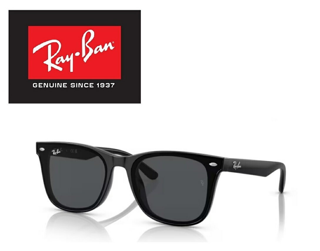 Ray-Ban 󥰥饹 쥤Х 줤Ф RAYBAN ꥢǥ RB4391D 601/87 65 ե졼५...