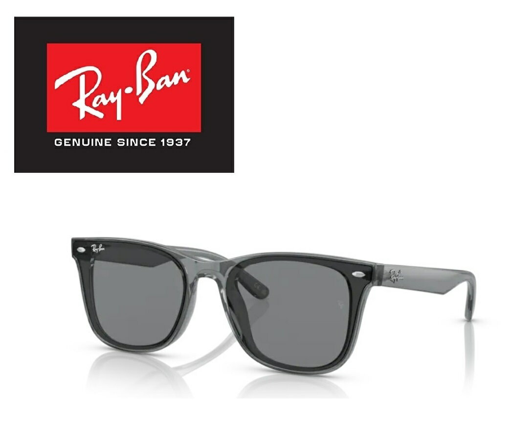 Ray-Ban 󥰥饹 쥤Х 줤Ф RAYBAN ꥢǥ RB4391D 645087 65 ե졼५...