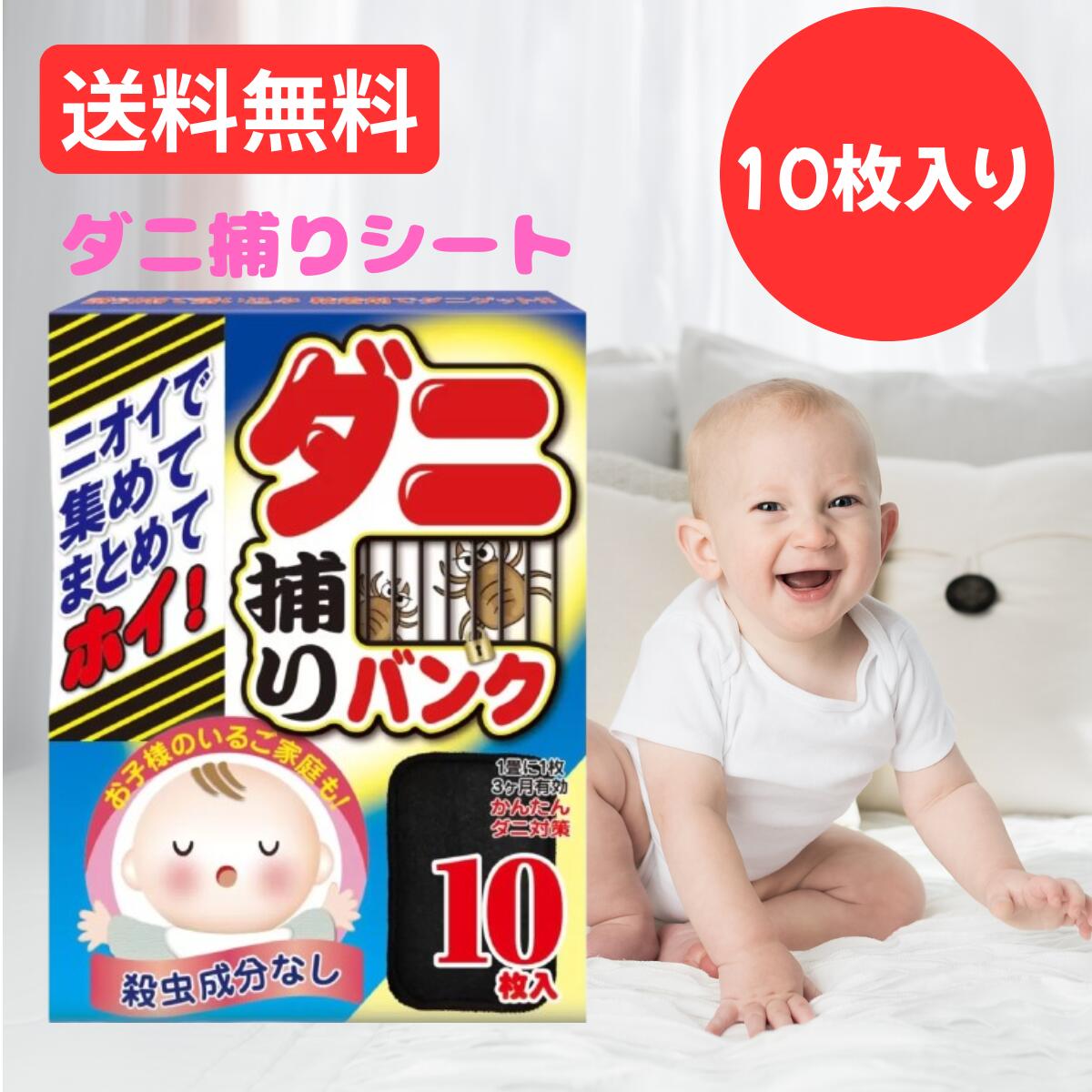 Х10 ˥  3 Ͷ Ǵ ڥå  ٥å  ϥ ೼ ʵ Ҷ ɥ ˶ ...