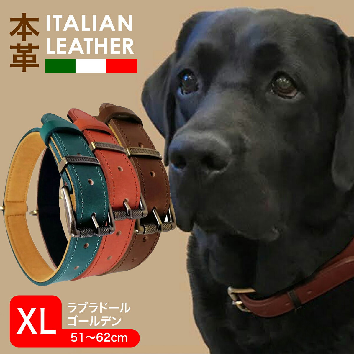 ペット 首輪 XLサイズ 牛革 犬 イタリア製牛革 マイクロスエード 本革 高強度Dカン 首回り51〜62cm 犬用首輪 ラブラドール ゴールデン 大型犬 いぬ イヌ あす楽 送料無料 チャーム用金具 おしゃれ プレゼント UP-641 ギフト バレンタイン チョコ以外