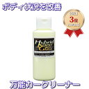 イオンデポジット除去 ウォータースポット除去／『コーティングコンディショナー100ml』 洗車で落ちないシミ(イオンデポジット 雨染み 水垢 くすみ ウォータースポット スケール シリカスケール)除去【コーティング下地処理・メンテナンスに】