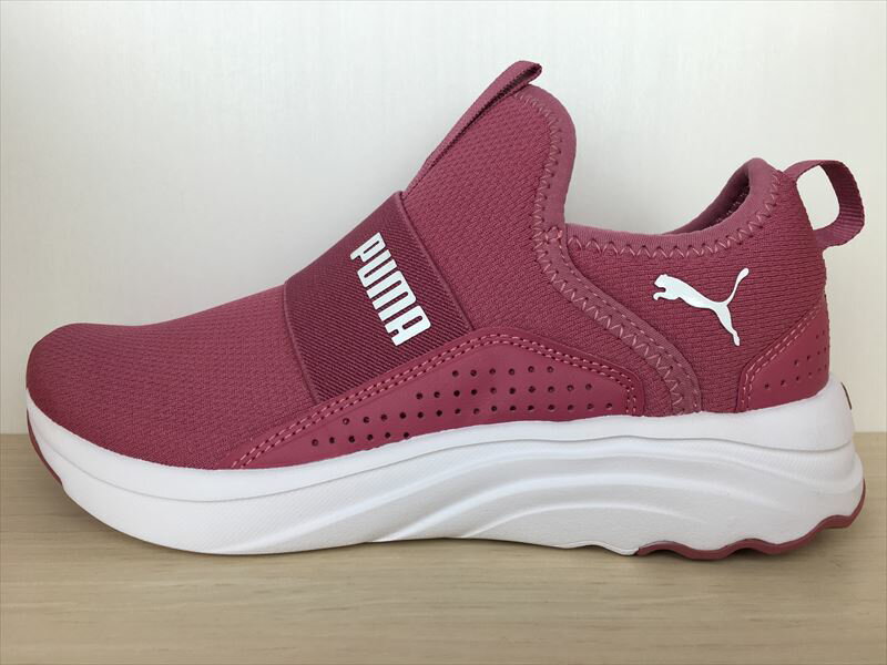 PUMA Wmns Softride Sophia Zebra★プーマ ソフィア ゼブラ 楽天市場】プーマ softride sophia wnsの通販