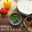 みつろうらっぷ 3枚セット 蜜蝋 エコ ラップ 国産 日本製 食品衛生法準拠 抗菌 保湿 アウトドア エマージェンシー サステナブル 繰り返し使える 洗える 食品用 食品ラップ 野菜 果物 保存 ミツロウ プレゼント ギフト withHoney