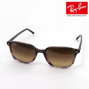 NewModel KCo{ő勉̕i Co TOX Iih Ray-Ban RB2193F 138085 55 fB[X Y RayBan XNGA uEn