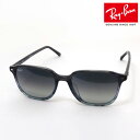 NewModel KCo{ő勉̕i Co TOX Iih Ray-Ban RB2193F 138171 55 fB[X Y RayBan XNGA u[n