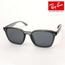 正規レイバン日本最大級の品揃え レイバン サングラス Ray-Ban RB4392D 645087 ライトカラー レディース メンズ 大きい RayBan ウェリントン グレー系