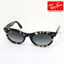 NewModel 正規レイバン レイバン サングラス WAYFARER OVAL ウェイファーラー オーバル Ray-Ban RB2242F 133371 53 レディース メンズ RayBan 純正度付きレンズ可 度付きサングラス可 グレー系