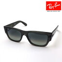レイバン サングラス 正規品 CARLOS カルロス Ray-Ban RB0947SF 667571 56 レディース メンズ RayBan 純正度付きレンズ可 度付きサングラス可 スクエア グレー系