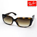 プレミア生産終了モデル レイバン サングラス 正規品 Ray-Ban ...(4)