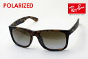 v~AYIf KCo{ő勉̕i Co ΌTOX WXeB Ray-Ban RB4165F 865T5 fB[X Y ~[ RayBan EFg