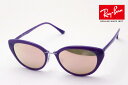 プレミア生産終了モデル レイバン サングラス 正規品 Ray-Ban ...(4)
