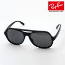 プレミア生産終了モデル レイバン サングラス 正規品 POWDERHORN パウダーホーン アビエーター Ray-Ban RB4357 601B1 レディース ...