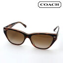 プレミア生産終了モデル 【コーチ サングラス 正規販売店】COACH ...(4)
