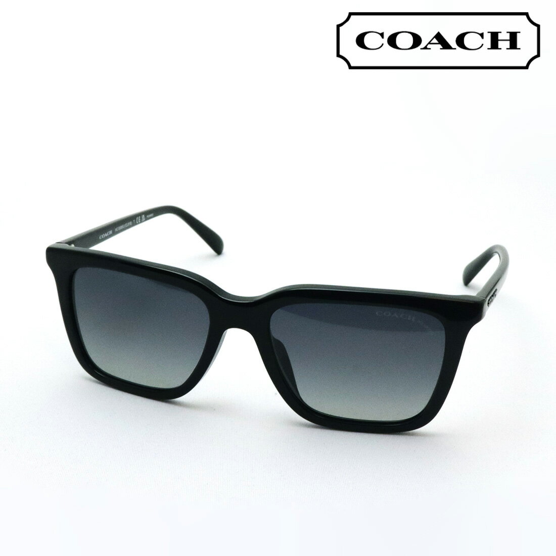 プレミア生産終了モデル 【コーチ 偏光 サングラス 正規販売店】COACH サングラス HC8385U 5002T3 54 メンズ スクエア ブラック系 【CA5】