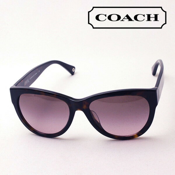  ڥ 󥰥饹 ŹCOACH 󥰥饹 HC8045F 500114 ǥ եå