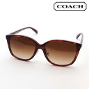 コーチ サングラス（レディース） 【コーチ サングラス 正規販売店】COACH サングラス HC8361F 574174 レディース ウェリントン トータス系