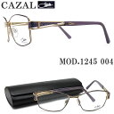 CAZAL JU[ Klt[ 1245 004 ዾ uh ɒBKl xt CbN~S[h `^ fB[X  hCc