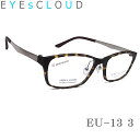 EYEs CLOUD アイクラウド メガネ フレーム EU-13 Col.3 グッドデザイン賞 眼鏡 軽量 伊達メガネ 度付き マットブラウンデミ メンズ(4)