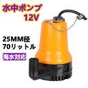 電動 12V 水中ポンプ 海水 対応 小型 軽量 70リットル 25mm 径 給排水 耐海水性 ボート ビルジポンプ 建設機械 農業 排水 送水 清水