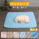 洗える ペットシーツ ペット用 ブランケット ワイドサイズ ワイド おしっこマット 丸ごと洗える ペットマット 繰り返し使える 犬 猫用 下敷き マット 防水おしっこシーツ 防水 防寒 保温 暖かい オールシーズン 洗える 寒さ対策 ペット 毛布 ブランケット 再繰り返し使用可能