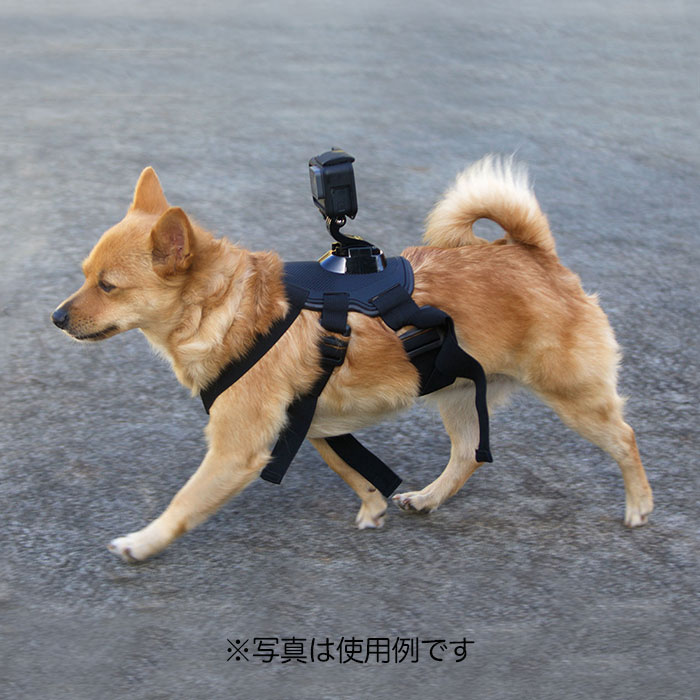 ドッグマウントM (gp133) ペット目線 アクションカメラ用 犬 猫 亀 ウェアラブルカメラ DJI Insta360 AKASO GoPro SJCAM対応 共通マウント 汎用アクセサリー スポーツカメラ 送料無料の商品画像 3