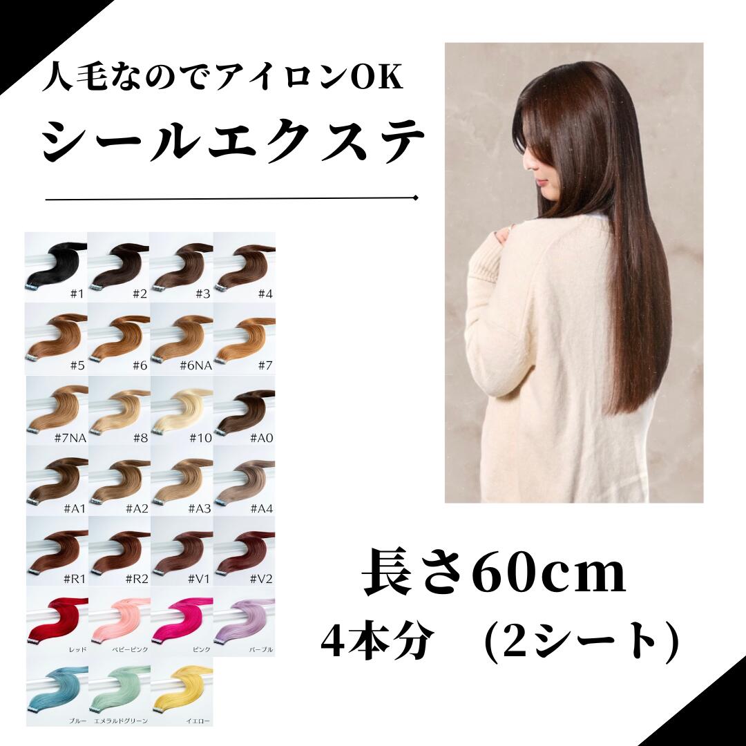 メール便で送料無料!インナーにおすすめ!60cm 人毛シールエクステ 4本分(2シート) 人毛100% ハイライト ワンタッチ インナーカラー メッシュ