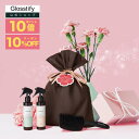 【マラソン16日01:59までP10倍+クーポン】母の日ギフト Glosstify グロスティファイ ヘアミスト+速乾ヘアブラシ ギフトラッピング&お花デザインカード付 母の日限定ヘアケアセット おしゃれ かわいい ギフトセット 2025花以外 義母 妻 奥さん 大人髪