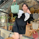 トートバッグ エコバッグ ハンドバッグ 弁当バッグ 弁当袋 ミニーバッグ ベルベット 秋冬(4)