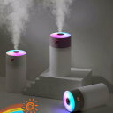 加湿器 超音波式 小型 卓上 大容量 300ml 給電式 マイナスイオン除菌機能付き 空気清浄機 次亜塩素酸水対応 アロマ対応 空焚き防止 乾燥防止 おしゃれ