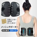 骨盤ベルト 腰コルセット 腰サポーター 腰ベルト 腰 腰用ベルト 一部...(4)