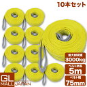 【10本セット】【送料無料】ナイロンスリングベルト 耐荷重3.0t×5m 10本 / 玉掛け 吊上げ ロープ 牽引 3000kg 3T 5M ベルトスリング ス...
