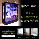 【Mセール終了まで2000円OFFクーポン配布中】LEDライト付き コレクションボード おしゃれ コレクションケース 幅75 奥行25 高さ85.5cm コレクションラック 展示棚 ガラス棚 フィギュア 完成品 ブラック ホワイト ウォールナット ガラスケース ローglo-t77c-75l【玄関渡し】